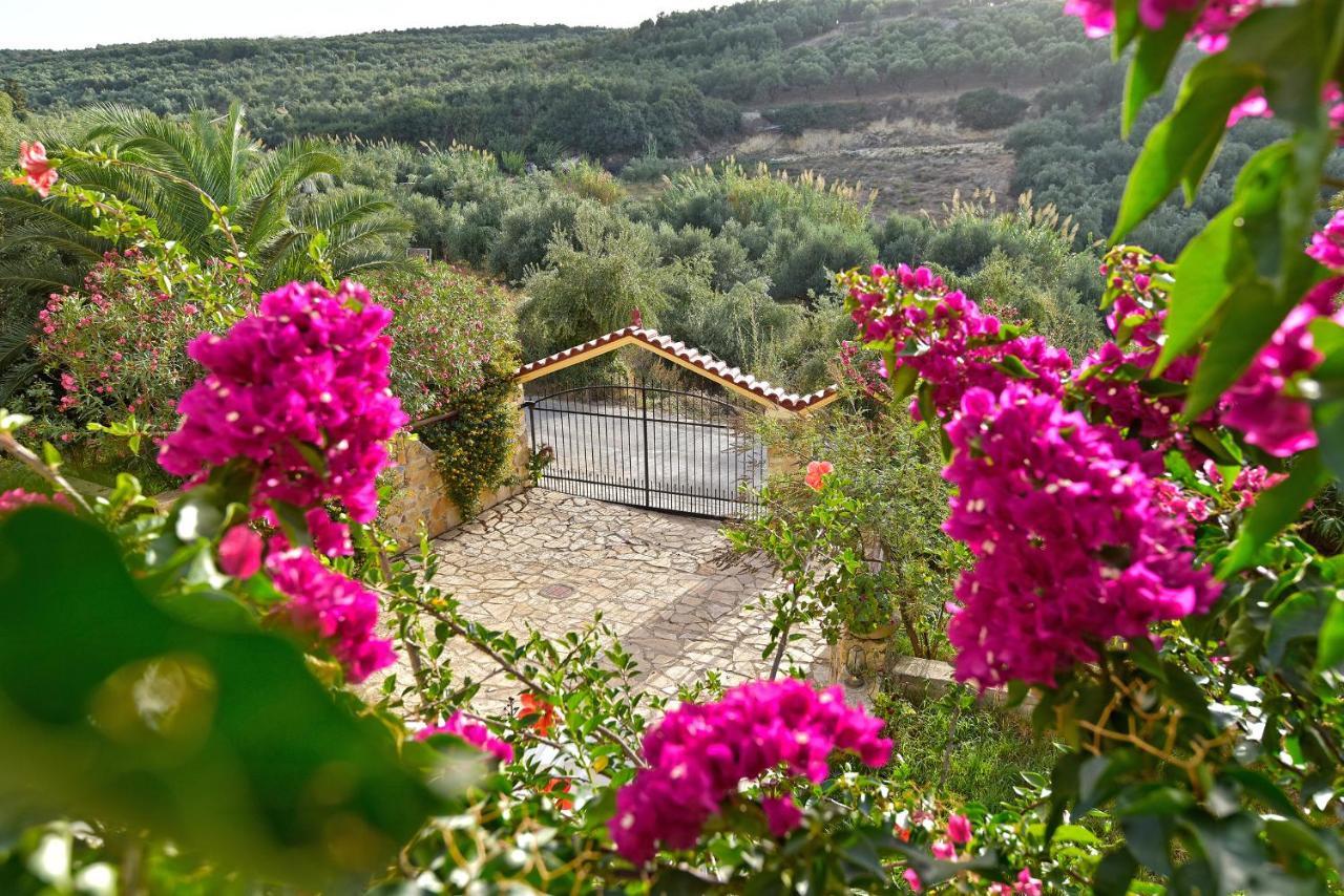 Olive Farm Villa Agia Marina  Luaran gambar