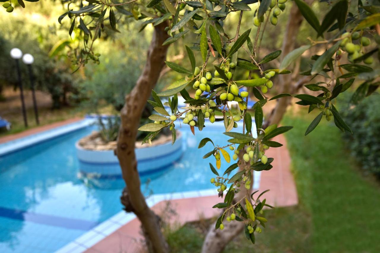 Olive Farm Villa Agia Marina  Luaran gambar