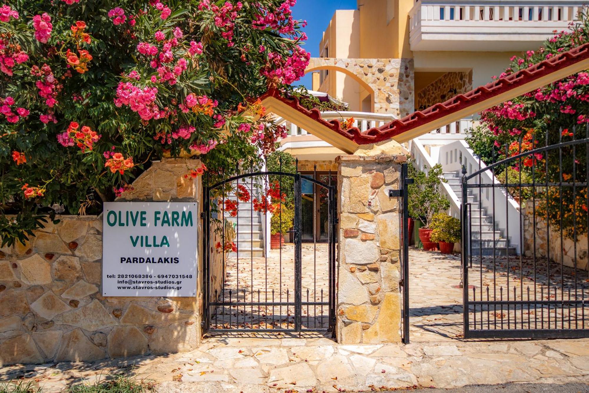 Olive Farm Villa Agia Marina  Luaran gambar